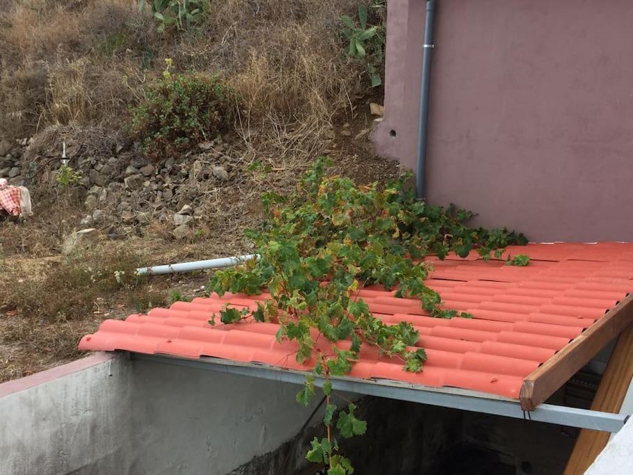 Willa Casa-Solarium En La Naturaleza Santa Cruz de Tenerife Zewnętrze zdjęcie