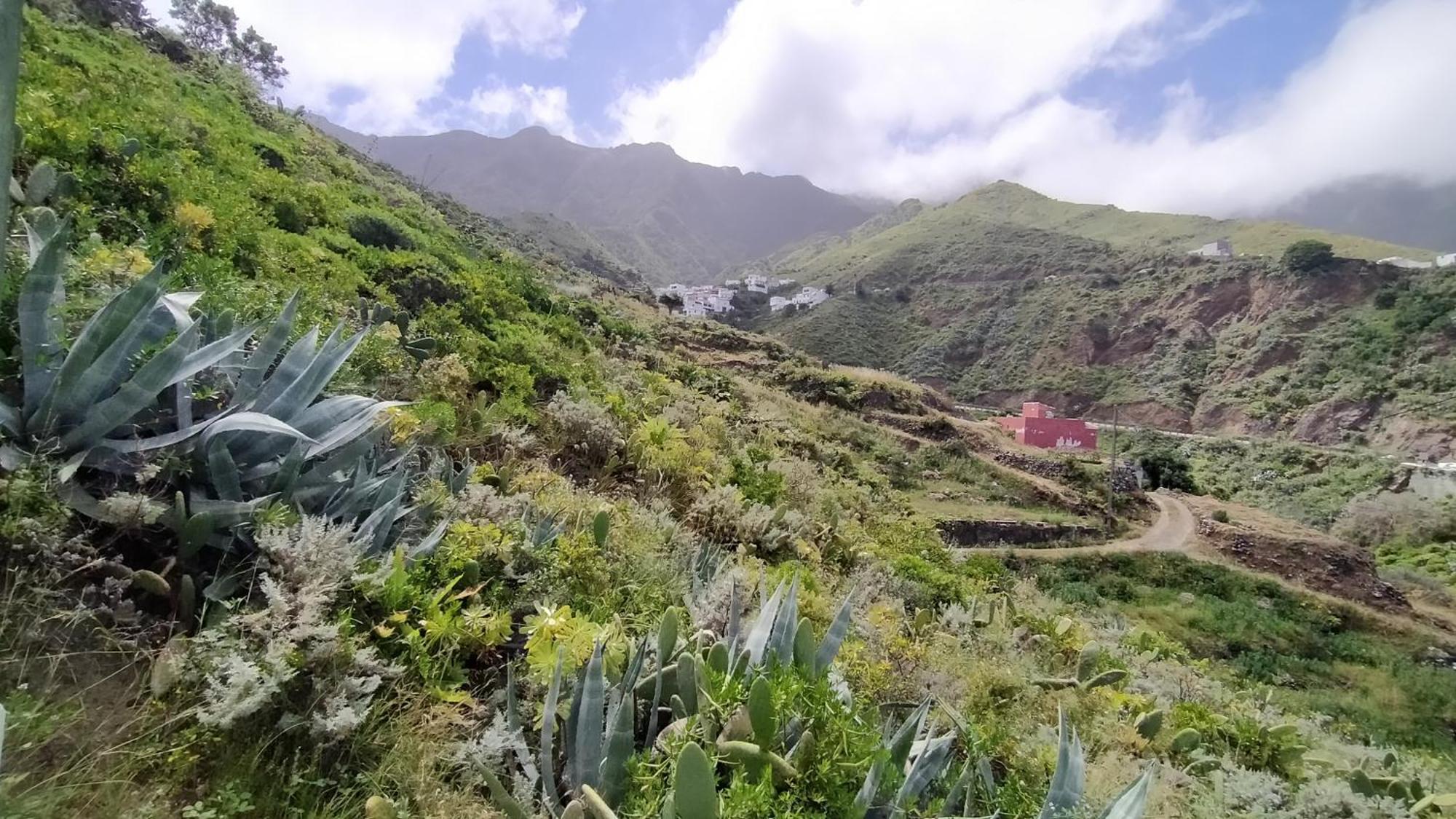 Willa Casa-Solarium En La Naturaleza Santa Cruz de Tenerife Zewnętrze zdjęcie